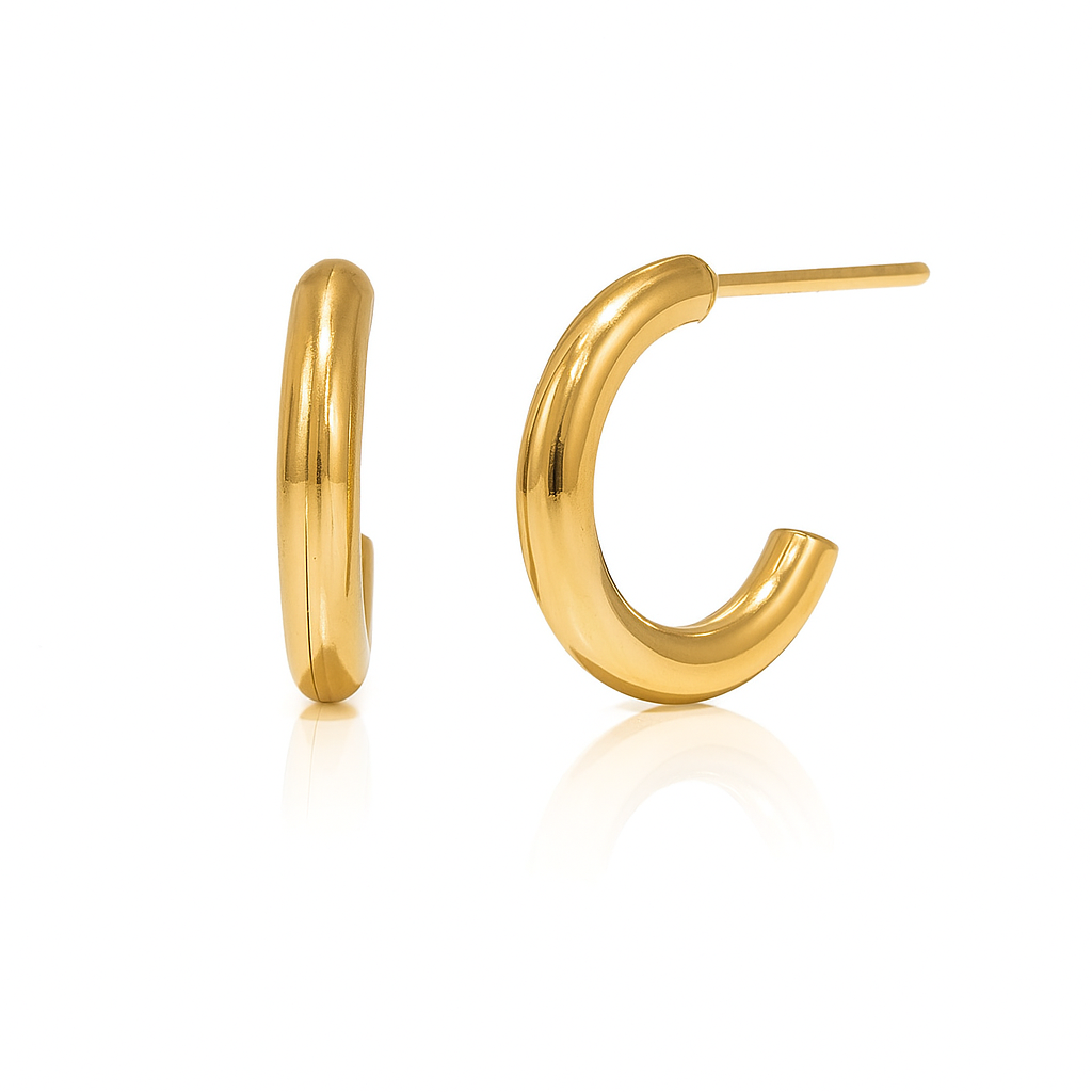 Ami Gold Eartings