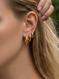 Abelia Hoops