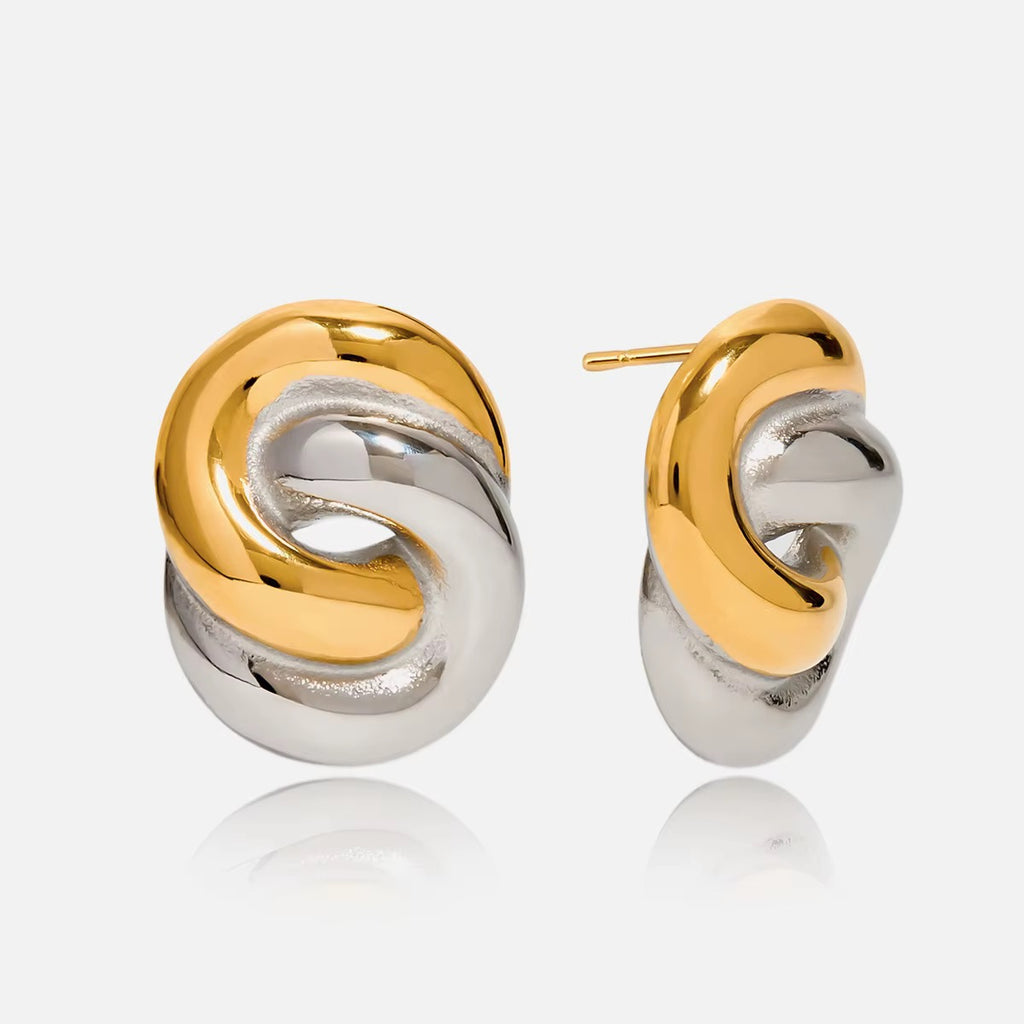 Dove 2Tone Earrings
