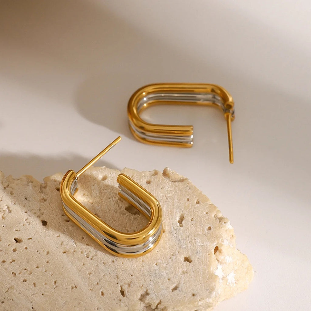 Amira Silver & Gold Earrings